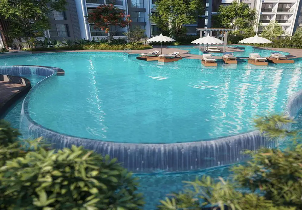 Infinity-Edge Swimming Pool with Forest Views